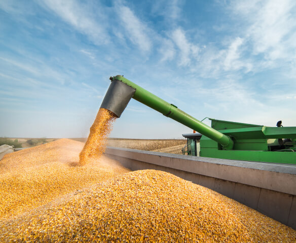 Agricultural products trading